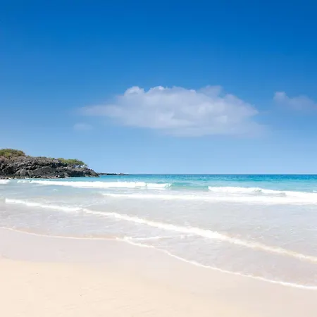 A Sea-Nic Escape Scenic 3Br Waiulaula Home With Ocean View